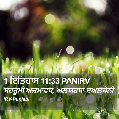 1 ਇਤਿਹਾਸ 11:33 PANIRV Bible Verse Image