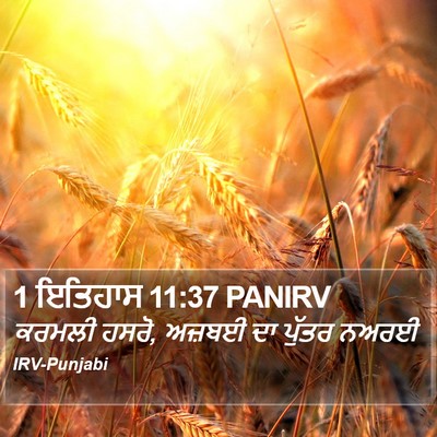 1 ਇਤਿਹਾਸ 11:37 PANIRV Bible Verse Image