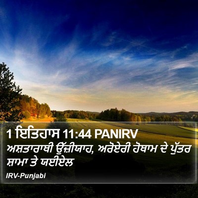 1 ਇਤਿਹਾਸ 11:44 PANIRV Bible Verse Image