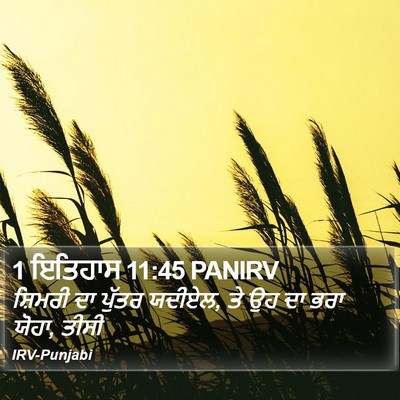1 ਇਤਿਹਾਸ 11:45 PANIRV Bible Verse Image