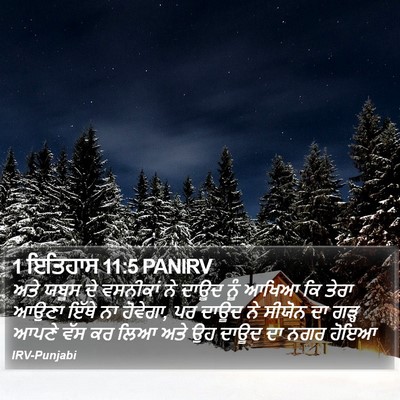 1 ਇਤਿਹਾਸ 11:5 PANIRV Bible Verse Image
