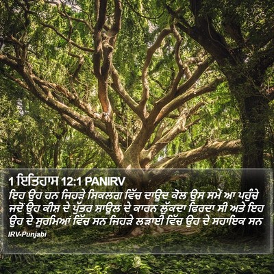 1 ਇਤਿਹਾਸ 12:1 PANIRV Bible Verse Image