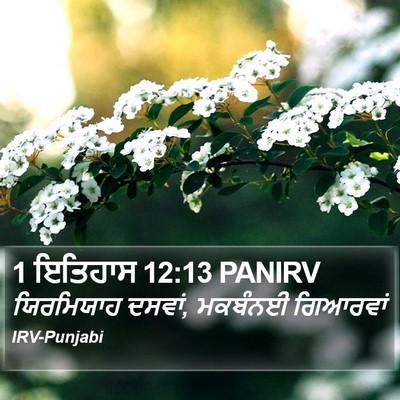 1 ਇਤਿਹਾਸ 12:13 PANIRV Bible Verse Image