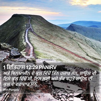 1 ਇਤਿਹਾਸ 12:29 PANIRV Bible Verse Image
