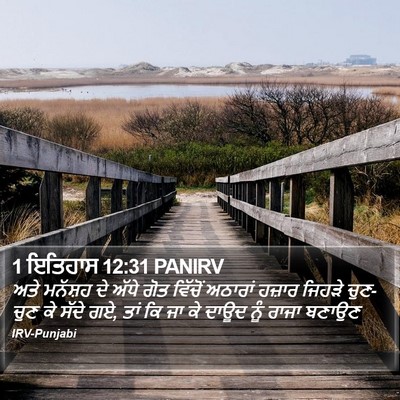 1 ਇਤਿਹਾਸ 12:31 PANIRV Bible Verse Image