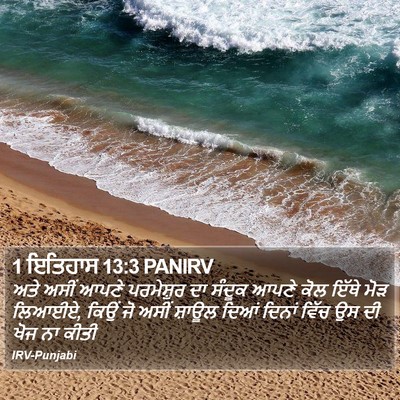 1 ਇਤਿਹਾਸ 13:3 PANIRV Bible Verse Image