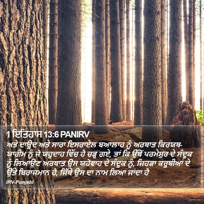 1 ਇਤਿਹਾਸ 13:6 PANIRV Bible Verse Image