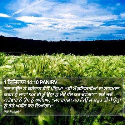 1 ਇਤਿਹਾਸ 14:10 PANIRV Bible Verse Image