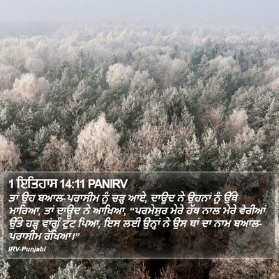 1 ਇਤਿਹਾਸ 14:11 PANIRV Bible Verse Image