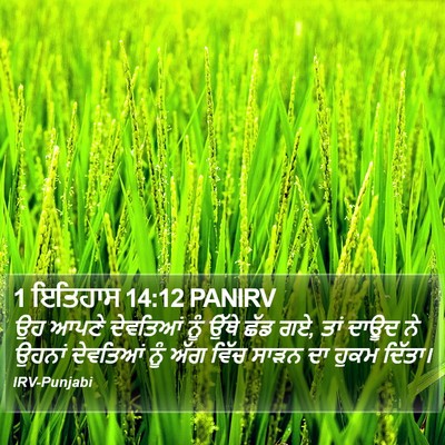 1 ਇਤਿਹਾਸ 14:12 PANIRV Bible Verse Image
