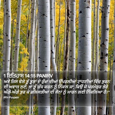 1 ਇਤਿਹਾਸ 14:15 PANIRV Bible Verse Image