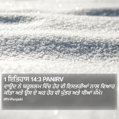 1 ਇਤਿਹਾਸ 14:3 PANIRV Bible Verse Image