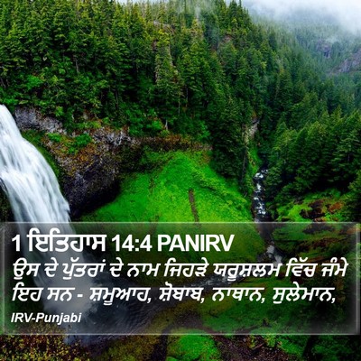 1 ਇਤਿਹਾਸ 14:4 PANIRV Bible Verse Image