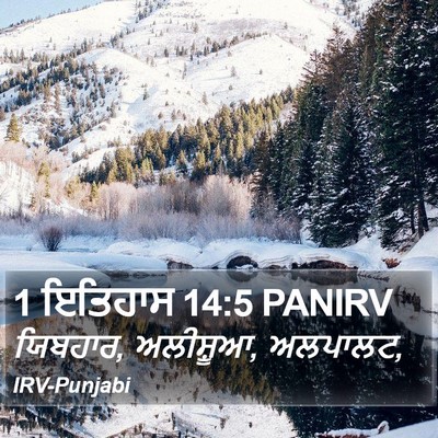 1 ਇਤਿਹਾਸ 14:5 PANIRV Bible Verse Image