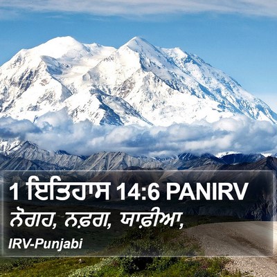 1 ਇਤਿਹਾਸ 14:6 PANIRV Bible Verse Image