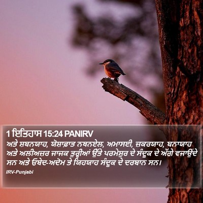 1 ਇਤਿਹਾਸ 15:24 PANIRV Bible Verse Image