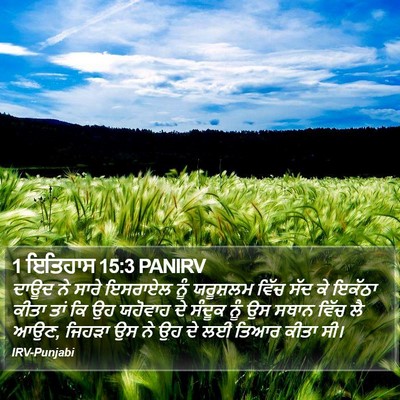 1 ਇਤਿਹਾਸ 15:3 PANIRV Bible Verse Image