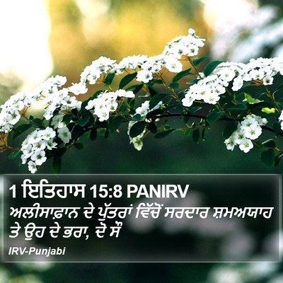 1 ਇਤਿਹਾਸ 15:8 PANIRV Bible Verse Image