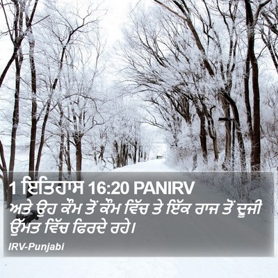 1 ਇਤਿਹਾਸ 16:20 PANIRV Bible Verse Image