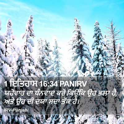 1 ਇਤਿਹਾਸ 16:34 PANIRV Bible Verse Image