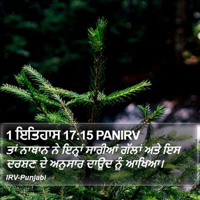 1 ਇਤਿਹਾਸ 17:15 PANIRV Bible Verse Image