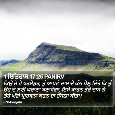 1 ਇਤਿਹਾਸ 17:25 PANIRV Bible Verse Image