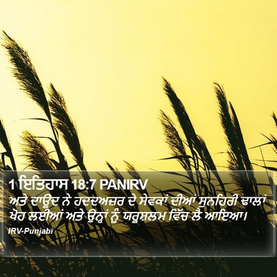 1 ਇਤਿਹਾਸ 18:7 PANIRV Bible Verse Image