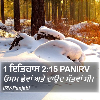 1 ਇਤਿਹਾਸ 2:15 PANIRV Bible Verse Image