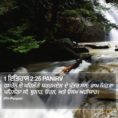 1 ਇਤਿਹਾਸ 2:25 PANIRV Bible Verse Image