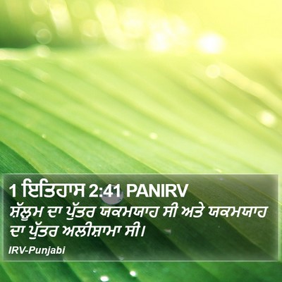 1 ਇਤਿਹਾਸ 2:41 PANIRV Bible Verse Image