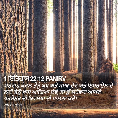 1 ਇਤਿਹਾਸ 22:12 PANIRV Bible Verse Image