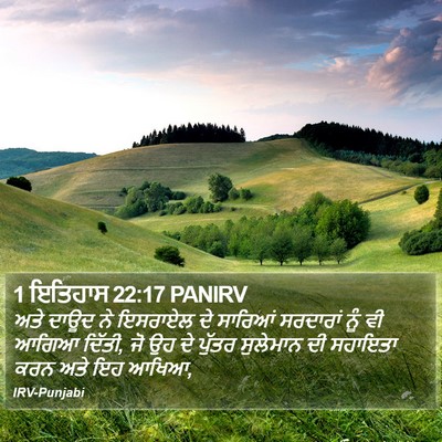 1 ਇਤਿਹਾਸ 22:17 PANIRV Bible Verse Image