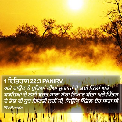 1 ਇਤਿਹਾਸ 22:3 PANIRV Bible Verse Image
