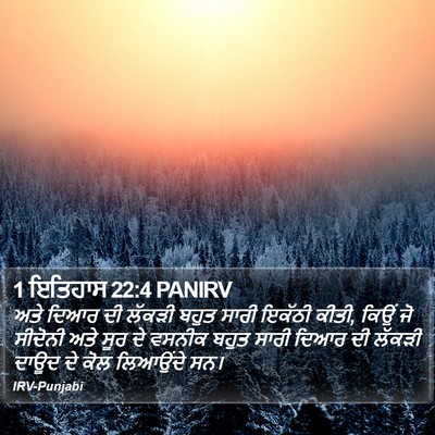 1 ਇਤਿਹਾਸ 22:4 PANIRV Bible Verse Image