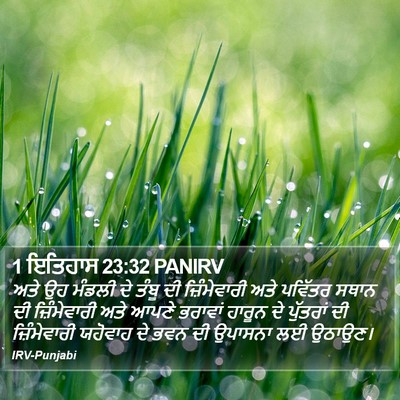 1 ਇਤਿਹਾਸ 23:32 PANIRV Bible Verse Image