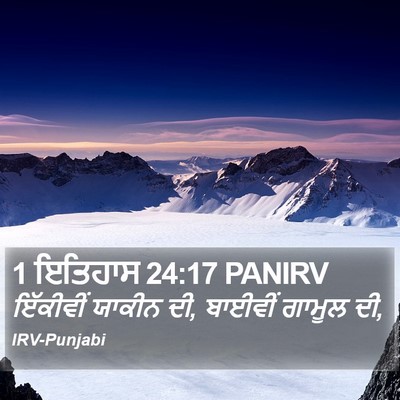 1 ਇਤਿਹਾਸ 24:17 PANIRV Bible Verse Image