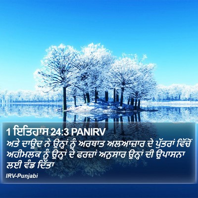 1 ਇਤਿਹਾਸ 24:3 PANIRV Bible Verse Image