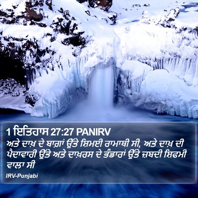 1 ਇਤਿਹਾਸ 27:27 PANIRV Bible Verse Image