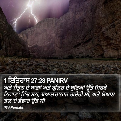 1 ਇਤਿਹਾਸ 27:28 PANIRV Bible Verse Image