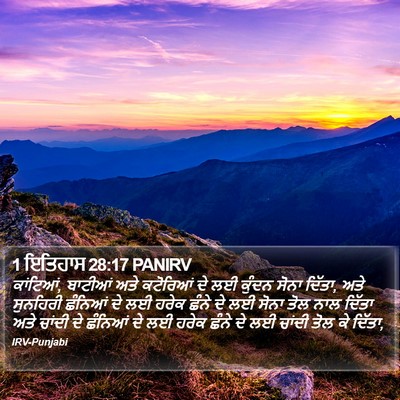 1 ਇਤਿਹਾਸ 28:17 PANIRV Bible Verse Image