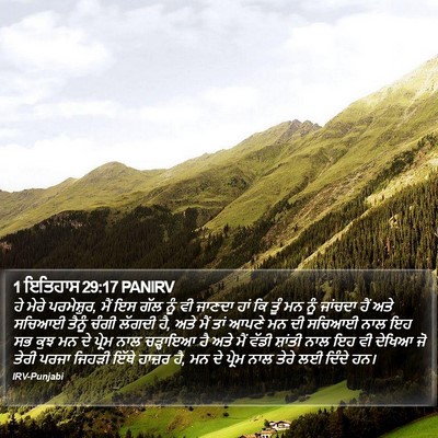 1 ਇਤਿਹਾਸ 29:17 PANIRV Bible Verse Image