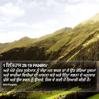 1 ਇਤਿਹਾਸ 29:19 PANIRV Bible Verse Image