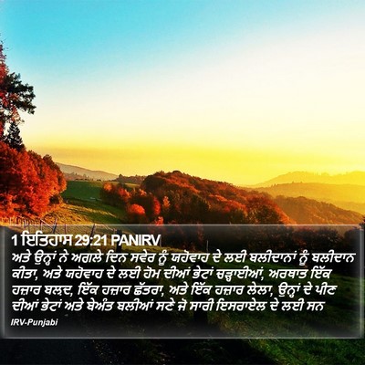 1 ਇਤਿਹਾਸ 29:21 PANIRV Bible Verse Image