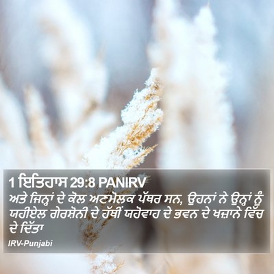 1 ਇਤਿਹਾਸ 29:8 PANIRV Bible Verse Image