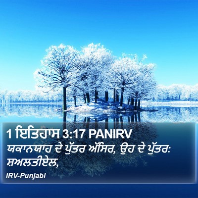 1 ਇਤਿਹਾਸ 3:17 PANIRV Bible Verse Image