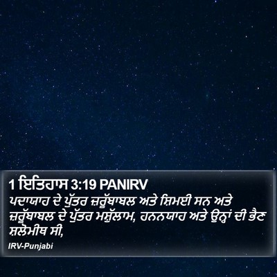 1 ਇਤਿਹਾਸ 3:19 PANIRV Bible Verse Image