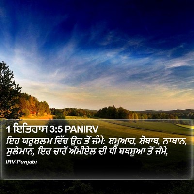 1 ਇਤਿਹਾਸ 3:5 PANIRV Bible Verse Image