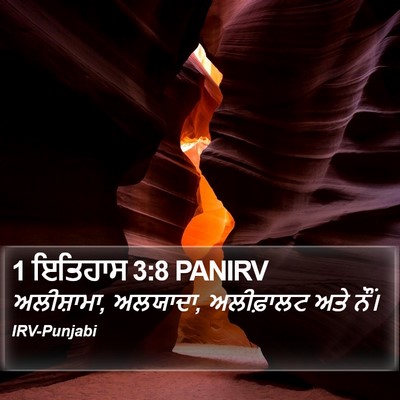 1 ਇਤਿਹਾਸ 3:8 PANIRV Bible Verse Image