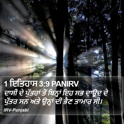 1 ਇਤਿਹਾਸ 3:9 PANIRV Bible Verse Image