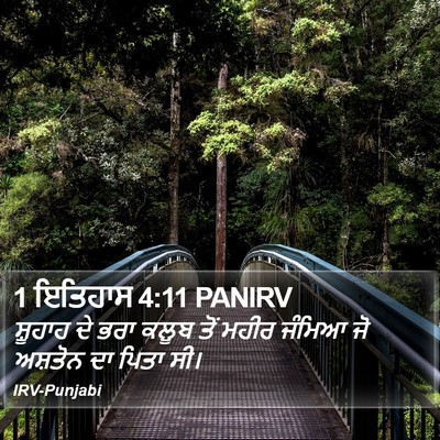 1 ਇਤਿਹਾਸ 4:11 PANIRV Bible Verse Image
